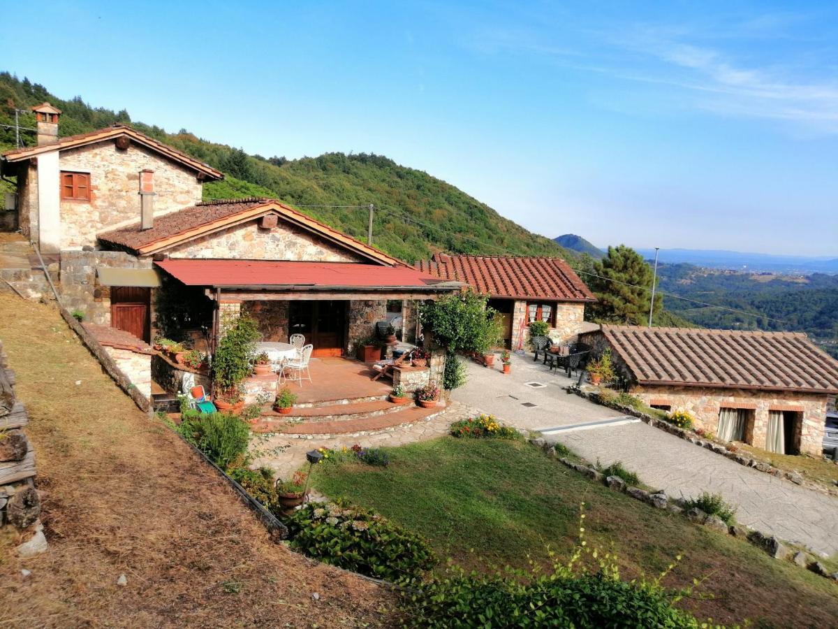 Villa Armonia Borgo a Mozzano Dış mekan fotoğraf