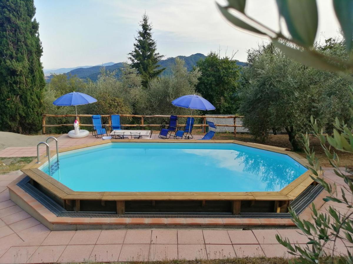 Villa Armonia Borgo a Mozzano Dış mekan fotoğraf