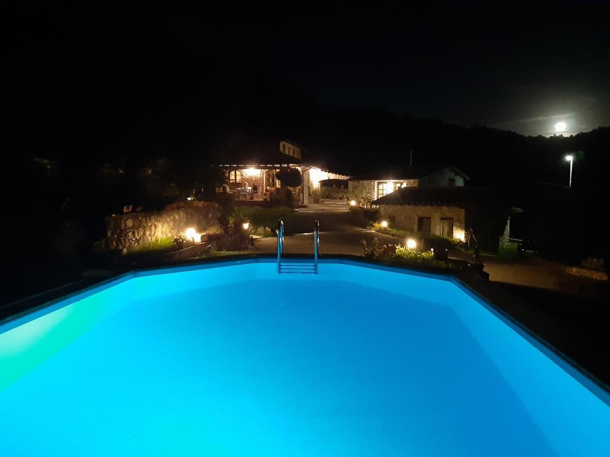Villa Armonia Borgo a Mozzano Dış mekan fotoğraf