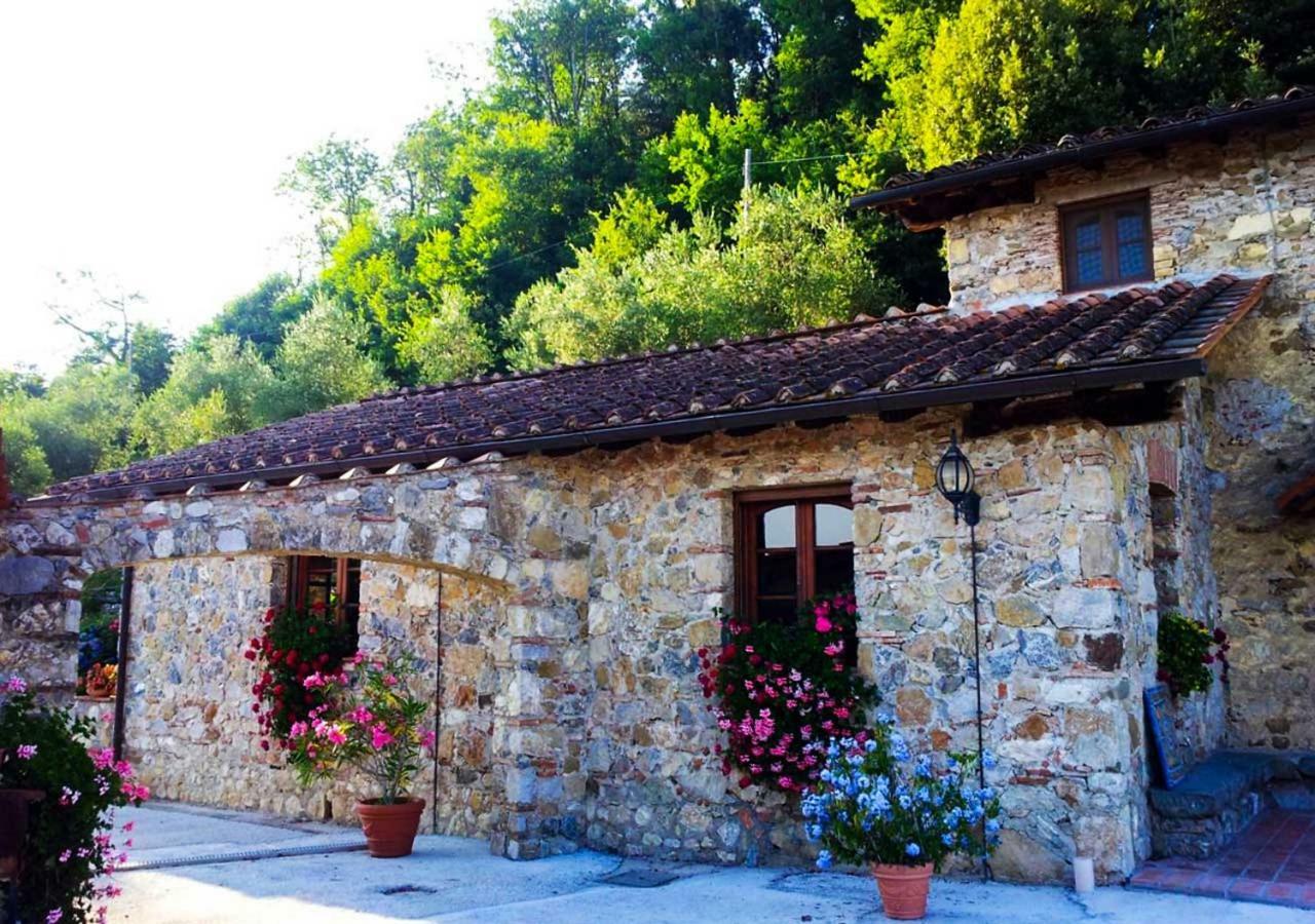 Villa Armonia Borgo a Mozzano Dış mekan fotoğraf
